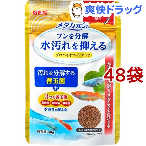 メダカお盛 プロバイオフードクリア 40g 48カバン組 メダカ元気 Craigrentmeester Com メダカお盛 プロバイオフードクリア 40g 48カバン組 メダカ元気 Craigrentmeester Com