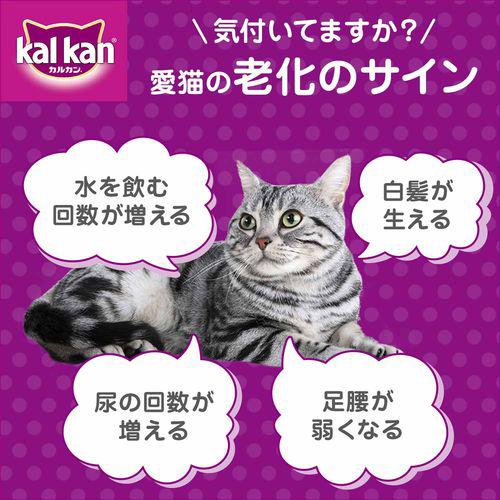 カルカン Kal Kan 猫用品 カルカン キャットフード パウチ お魚ミックス まぐろ かつお たい ゼリー仕立て 18歳から カルカン カルカン パウチ お魚ミックス まぐろ かつお たい ゼリー仕立て 18歳から 70g 160袋セット カルカン Kal Kan 爽快ドラッグ