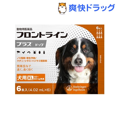 驚きの安さ 楽天市場 動物用医薬品 フロントラインプラス 犬用 Xl 40 60kg未満 6本入 フロントラインプラス 爽快ドラッグ 信頼 Lexusoman Com