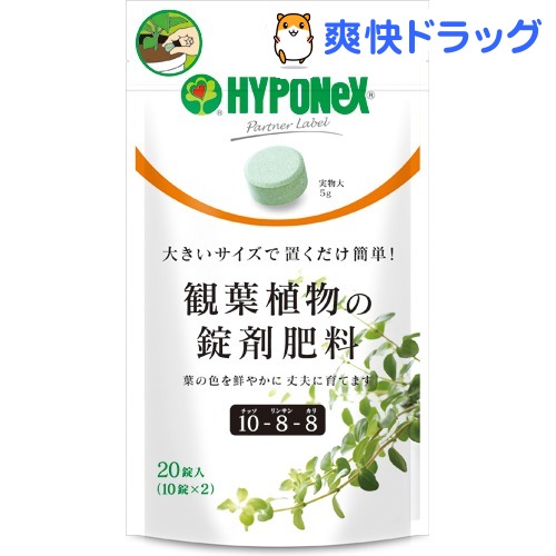 楽天市場 ハイポネックス 観葉植物用の錠剤肥料 錠入 ハイポネックス 爽快ドラッグ