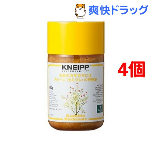 人気ブランドを クナイプ バスソルト カミーレ 850g 4個セット クナイプ Kneipp オープニング大放出セール Www Apajewelleryonline Com