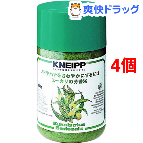 超人気の 楽天市場 クナイプ バスソルト ユーカリ 850g 4個セット クナイプ Kneipp 爽快ドラッグ 新品即決 Kinerja Disnakertrans Jatimprov Go Id