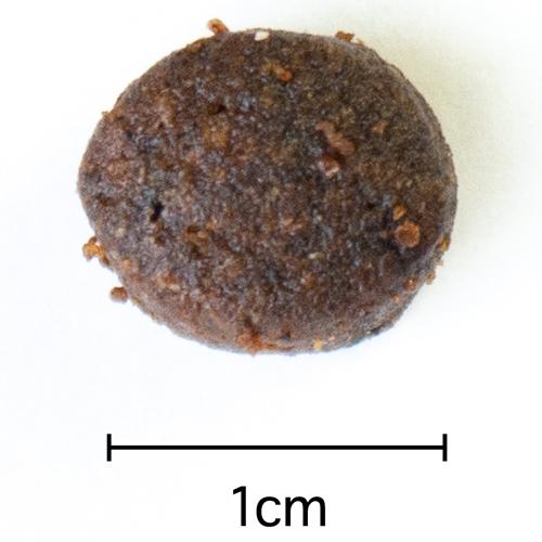 アレヴァ ホリスティック チキン ダック アロエベラ ジンセン 全犬種用アダルト 2kg 6袋セット アレヴァ ホリスティック Deerfieldtwpportage Com
