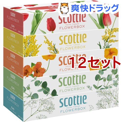 楽天市場 スコッティフラワーパック 3倍長持ちトイレット 75mダブル 75m 4ロール 12コセット スコッティ Scottie トイレット ペーパー 爽快ドラッグ 楽天市場 スコッティフラワーパック 3倍長持ちトイレット 75mダブル 75m 4ロール 12コセット スコッティ Scottie トイレット ペーパー 爽快ドラッグ