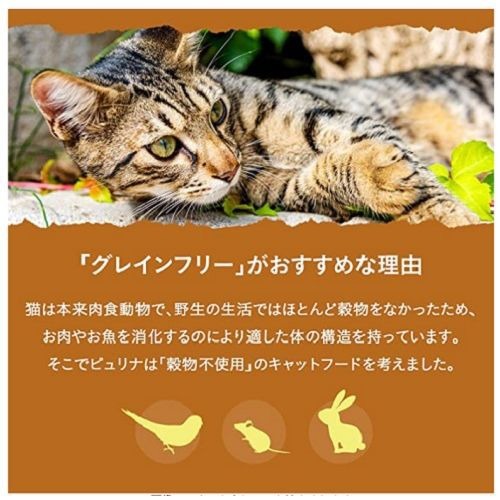 楽天市場 ピュリナ ワン キャット 1歳から全ての年齢に グレインフリー チキン 1 6kg Dalc Purinaone ピュリナワン Purina One キャットフード 爽快ドラッグ