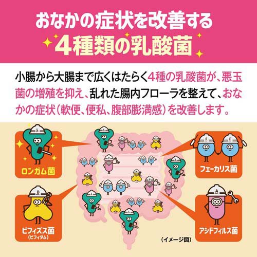 初ビオフェルミンs収益タブレット 550錠 2個ひとそろい ビオフェルミン Geo2 Co Uk