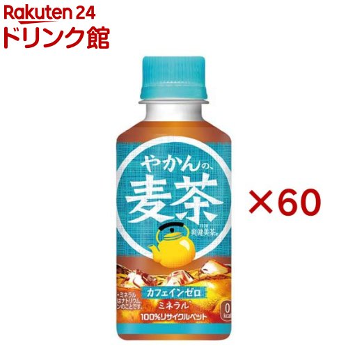 爽健美茶　2.3 爽健美茶 2L (2023〜) 展示中 in Museum of nakama_Nireini
