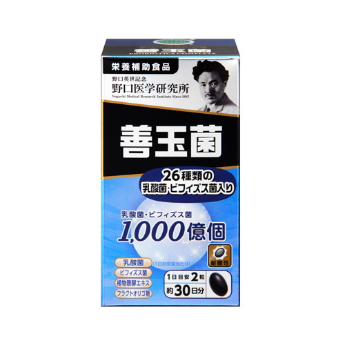 ◆6個仕掛ける/【3980円以上で貨物輸送無料（沖縄を除く）】善玉菌 60錠[野口医術科学研究所]