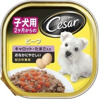 【1ケース】【3980円以上で送料無料（沖縄を除く）】【お取り寄せ対象品】マース ジャパンリミテッド Cesar シーザー 2ヶ月からの子犬用 ビーフ キャロット・たまご入り 100g [マースジャパンリミテッド] *96個