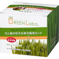 【1容れもの】【3980円以上で貨物輸送無料（沖縄を除く）】【お取り寄せ客体品】犬と猫が猥りがましいな草 作りだす書き割り[エイムクリエイツ] *48個