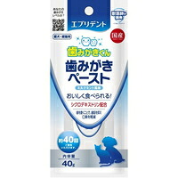 【1ケース】【3980円以上で送料無料（沖縄を除く）】【お取り寄せ対象品】エブリデント 歯みがきペースト ミルクミント風味(40g) *24個