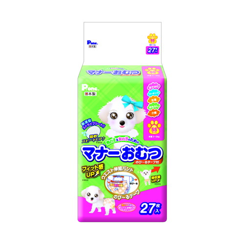 【1入れもの】【3980円以上で貨物輸送無料（沖縄を除く）】【お取り寄せ客体品】第一衛材 折りかがみお襁褓ＳＳ 27枚 [第一衛材] *6個