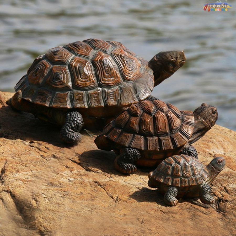 【特大】天然石 カメ 置物　重量6.5kg、30cm超え Amazon.co.jp: 【ミニ彫り物】かめ 亀 カメ タイガーアイ 25mm 1