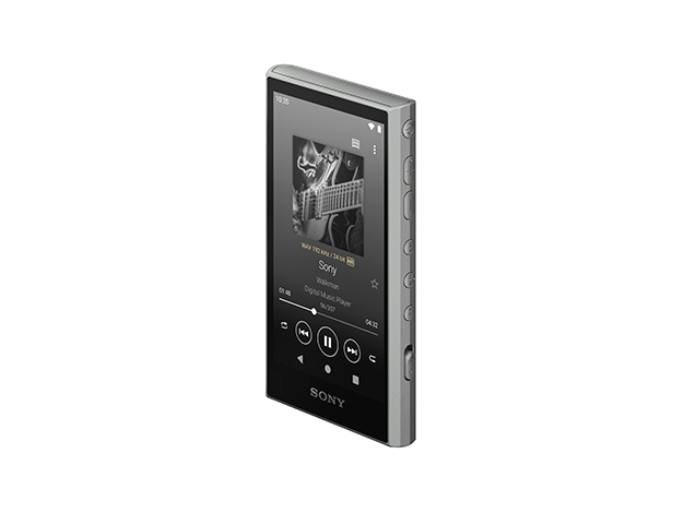 NW-S315-L(ブルー) ウォークマン Sシリーズ 16GB NWS315L Blue Sony Walkman S Series 16gb Nw-s315 Bluetooth for sale