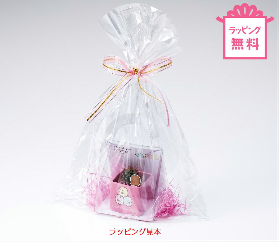 楽天市場 すみっコぐらしサボテン プレゼント ギフト メッセージカード ラッピング すみっコぐらし 送料無料 すみっこ すみっコ 誕生日 観葉植物 サボテン とかげ ねこ ぺんぎん しろくま たぴおか とんかつ サウンドスパイス 楽天市場店