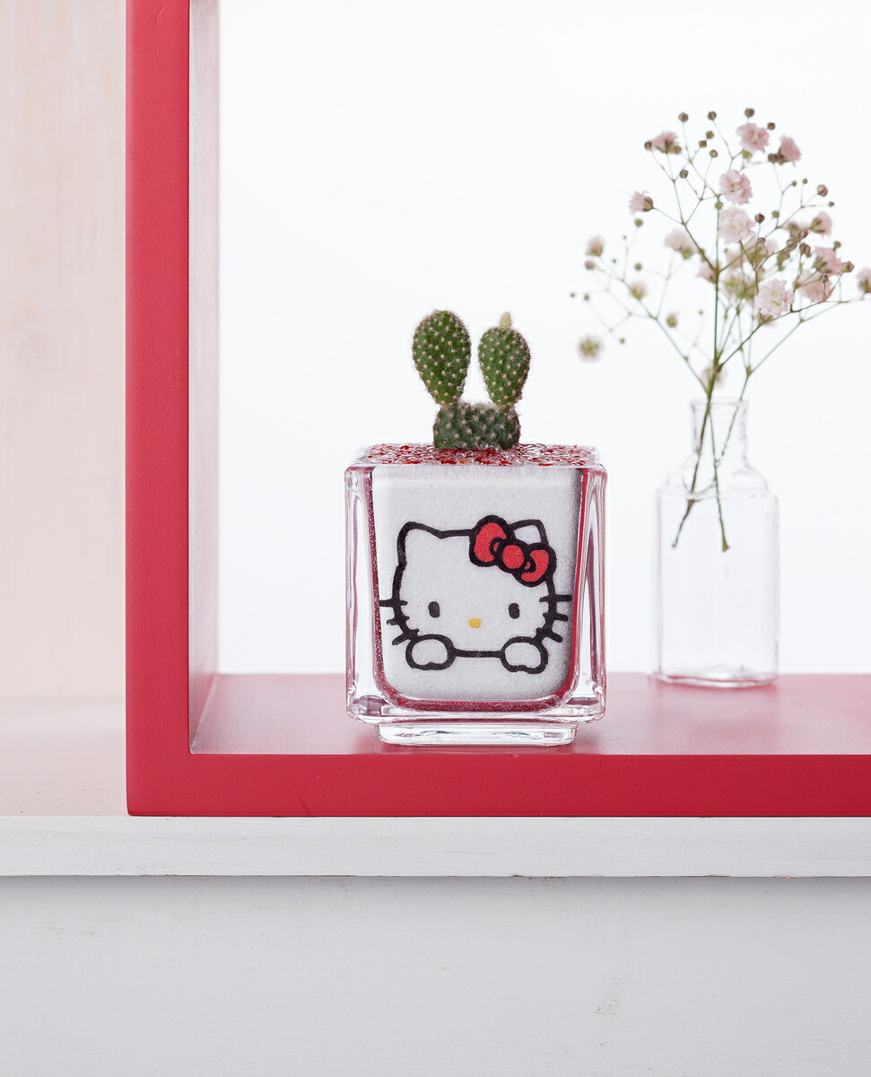 ハローキティサボテン 種 プレゼント キティ キティちゃん ハローキティプチギフト 送料無料 プレゼント 誕生日 観葉植物 花 ギフト 記念品 カラーサンド サボテン サンリオ キティちゃん キティ Korkmazmauritius Com