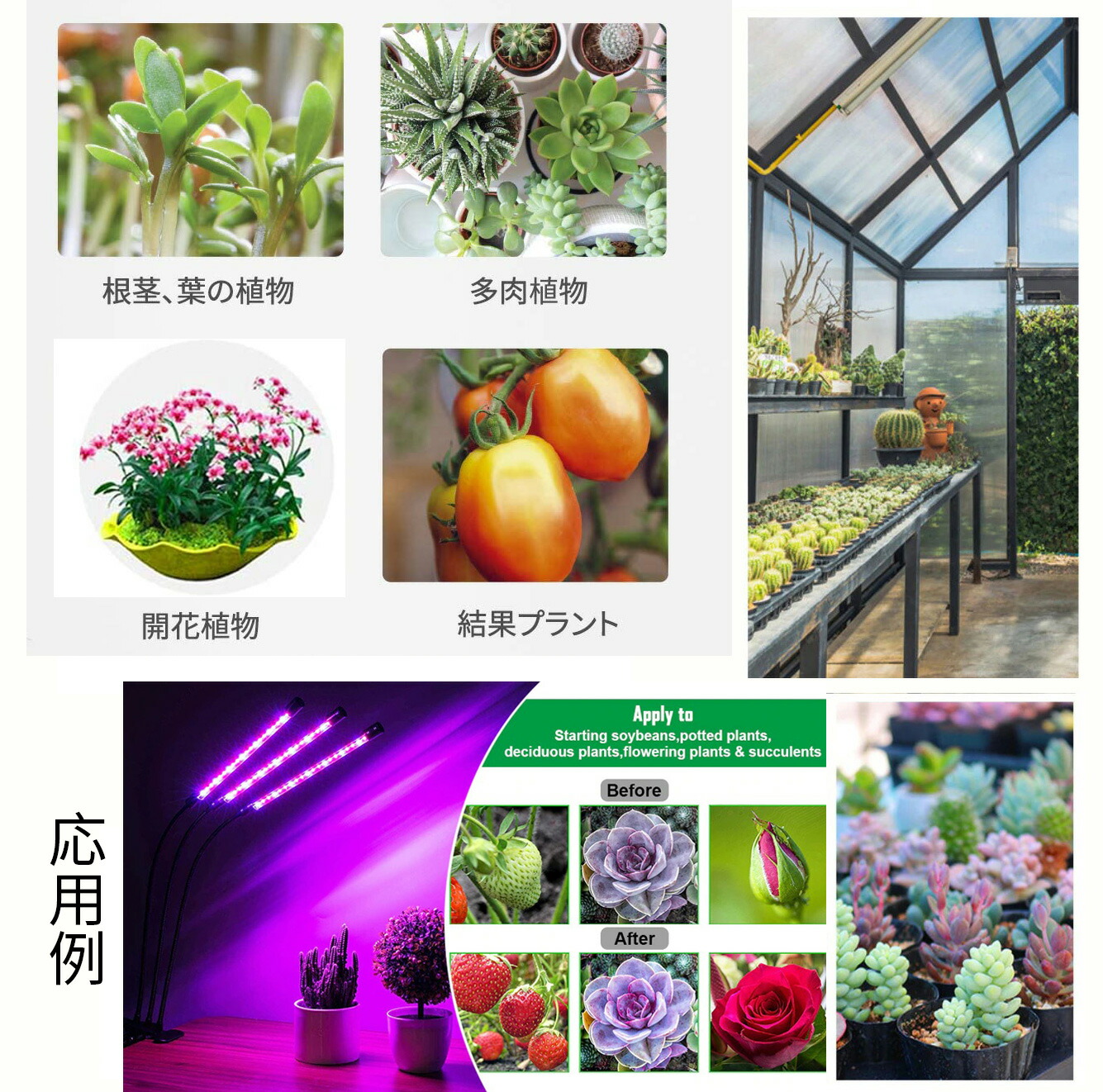 市場 4灯式 植物 植物育成ライト Led 観葉植物 野菜工場 室内栽培 ライト 水耕栽培 3モード調色 多肉植物育成 Ledライト 植物育成 育成ライト