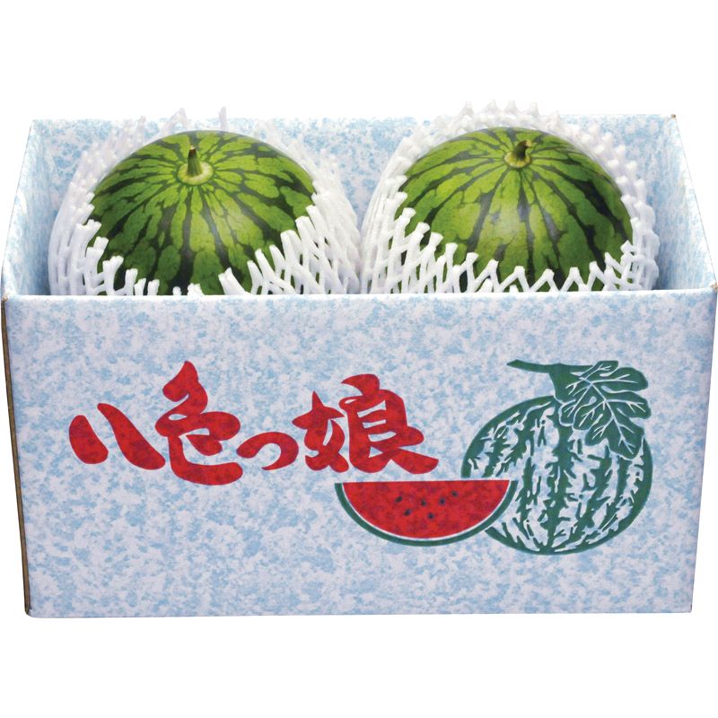 八色っ娘西瓜（小玉西瓜） 約2.5kg×2玉セット【直送品】 送料無料