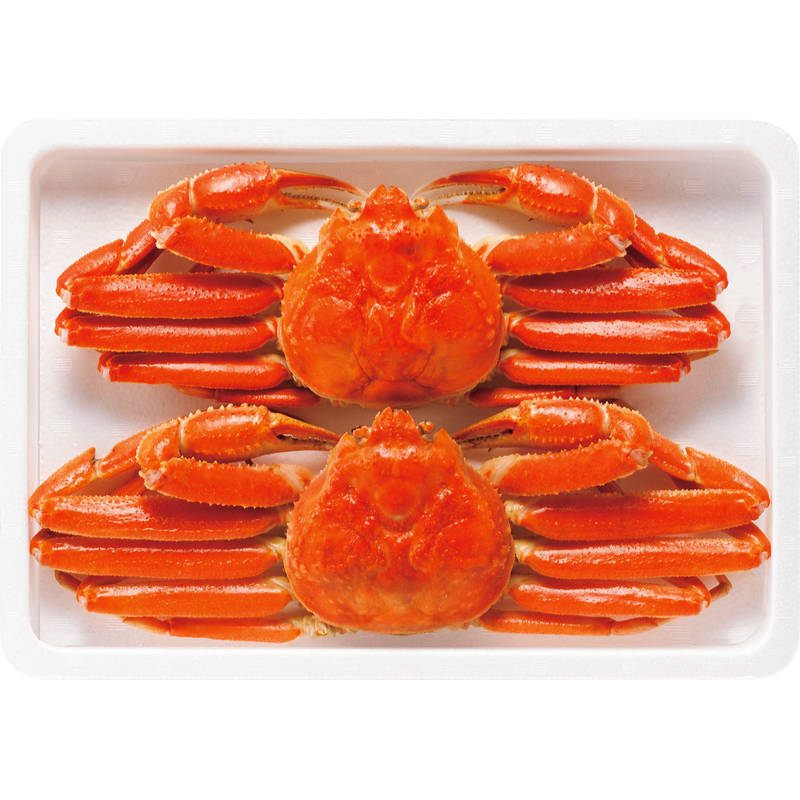 ボイルずわいがに姿 450g×2 ZHB452N【直送品】［送料無料］