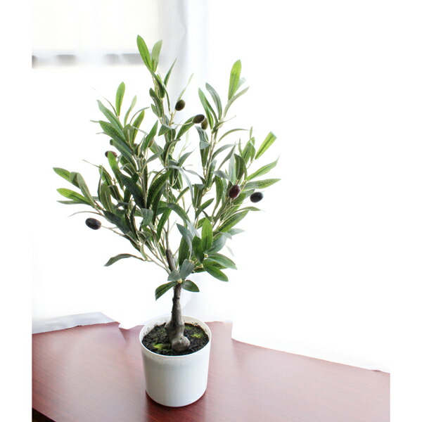【人工観葉植物】60cmオリーブツリー　高さ60cm　/　フェイクグリーン　人工観葉植物　インテリア　お手入れ簡単　水やり不要　シンプル　おしゃれ　オフィスインテリア　店舗装飾