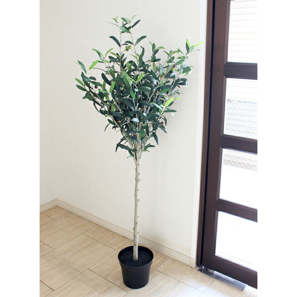 【フェイクグリーン】【人工観葉植物】オリーブポット　高さ145cm　/　フェイクグリーン　人工観葉植物　インテリア　お手入れ簡単　水やり不要　シンプル　おしゃれ　オフィスインテリア　店舗装飾｜季節装飾造花の店 装飾屋