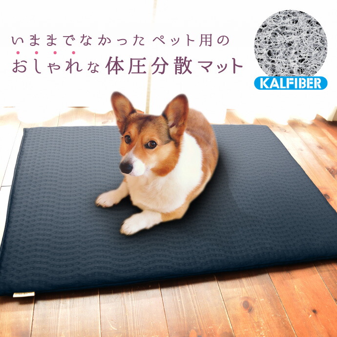 集権排除