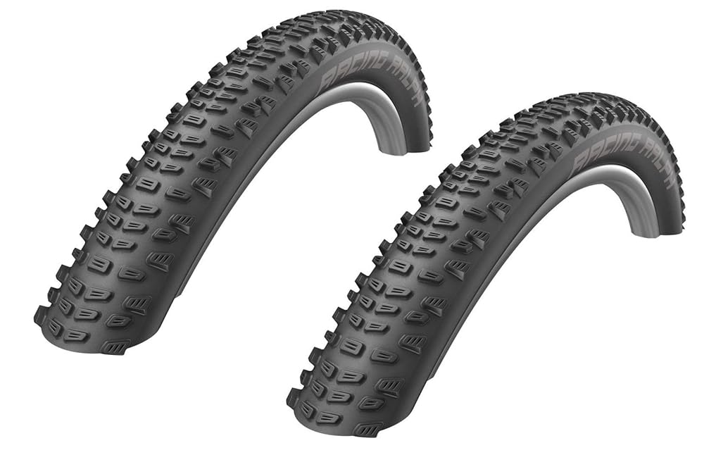 2本セット SCHWALBE　Racing Ralph TLR Addix Performance MTBタイヤ 29x2.25(57-622