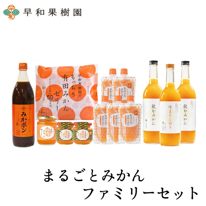 詰め合わせ ギフト 贈り物 詰め合わせ 送料無料 まるごとみかんファミリーセット(N) みかんジュース 100％ ゼリー ポン酢 スムージー 和歌山 有田 早和果樹園