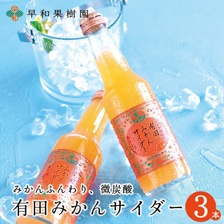 みかん 送料無料】せとか 約4kg（18～28玉入り） 紀州梅干し・みかんのJA