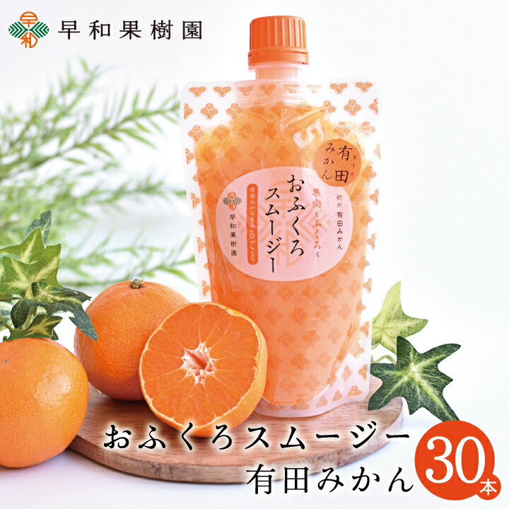 みかん スムージー 有田みかん ゼリー フルーツ おふくろスムージーみかん170g×30本入 送料無料 シャーベット 和歌山 送料無料 フルーツ 有田のみかん ゼリー 早和果樹園|紀州 有田みかん 早和果樹園