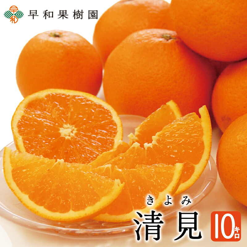 【へいちゃん 】清見・みかん各６本　　清見・みかん各3本　2か所送り imgrc0098926337.jpg