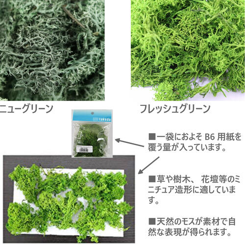 楽天市場 ジオラマモス 模型 建築模型 材料 ジオラマ 立体パース 工作 鉄道模型 クラフト インテリア 土 地面 表面 路面 地表 道路 山 道 草 樹木 庭 テラリウム モス 表現 自由研究 領収書対応可能 Diy 素材本舗 楽天市場店
