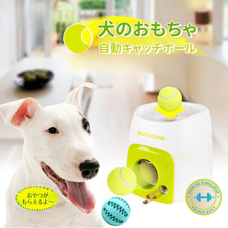 2520pettoy_1.jpg