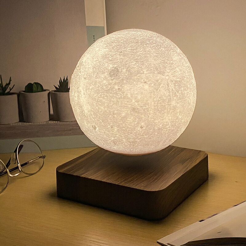 MOON ROCK LAMP ムーンロックライト　照明器具フロアライト MOON ROCK LAMP ムーンロックライト 照明器具フロアライト