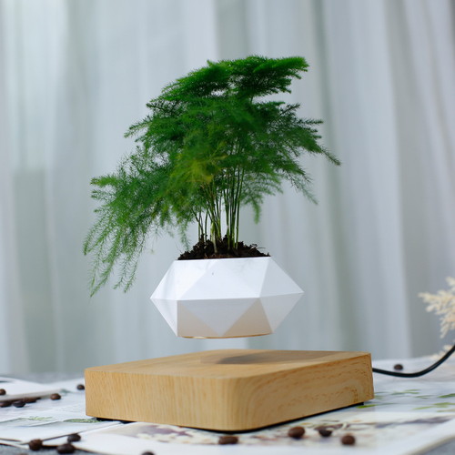 磁気浮上盆栽回転し続ける静安性動作静音チープおしゃれ浮くプランター回転フローティングポットUSプラグ宙に浮くインテリア磁気浮遊空飛ぶ盆栽エア盆栽空中盆栽空中浮揚