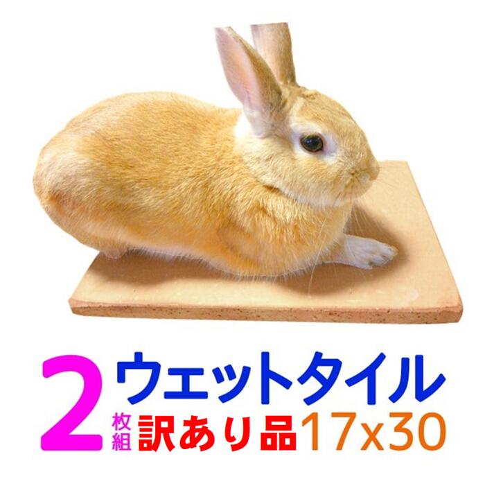 【楽天市場】【小動物用】クールワン ウェットタイル 20×30cm