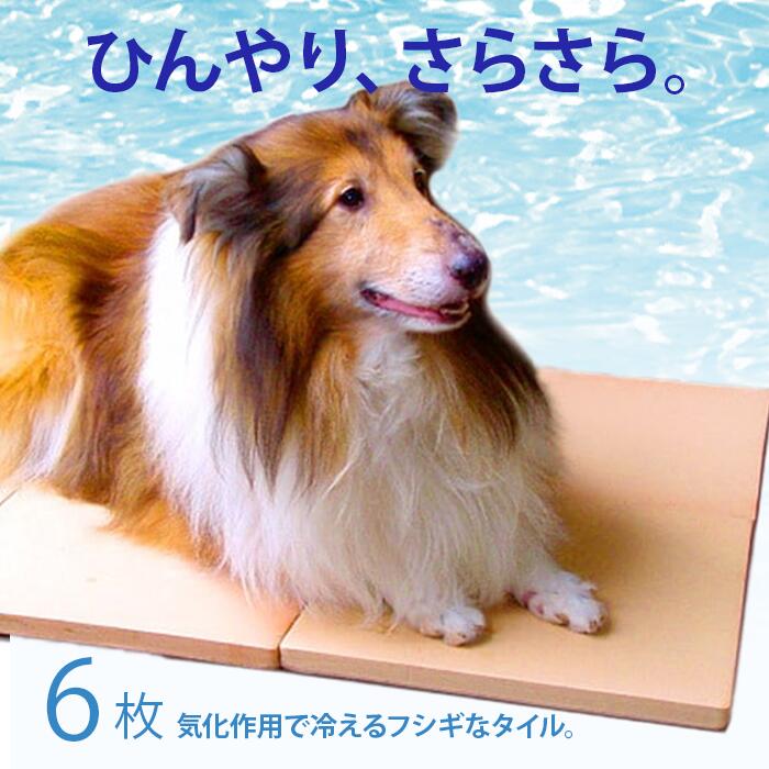 【楽天市場】【犬・猫用】クールワン ウェットタイル 30×40cm1枚