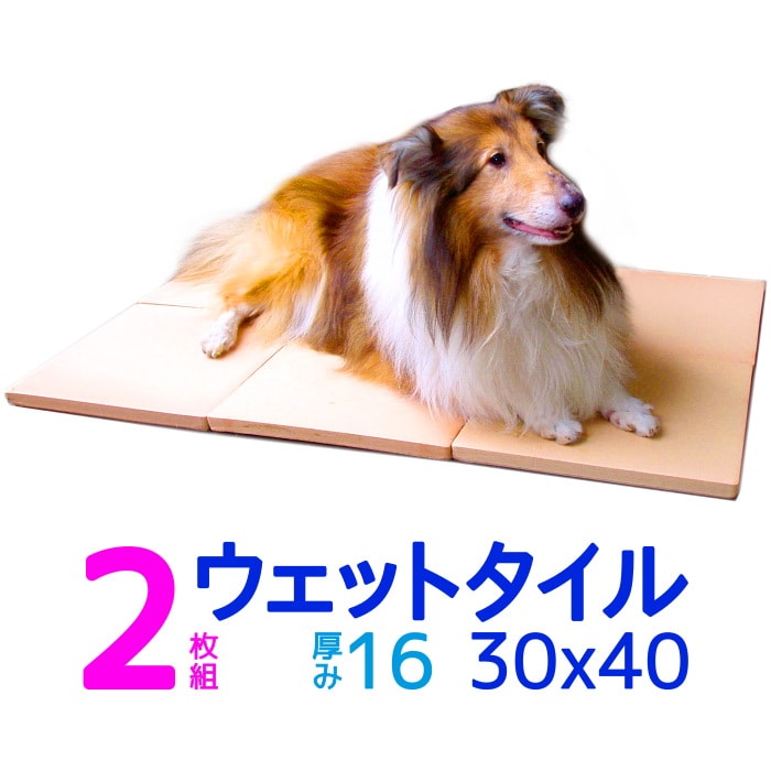 楽天市場 クールワン ウェットタイル 30 40cm 1枚 単品 1 6cm厚 脚付 冷却マット 犬 猫ok 屋外でも冷たい ペットの夏用ベッド ひんやりグッズ マット 暑さ対策 犬用品 冷たい ひんやり クールマット 犬 夏対策 スペース ファクトリー