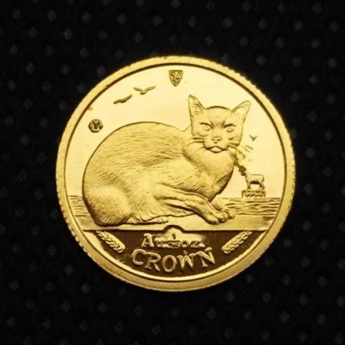 楽天市場 猫 コイン キャット 金貨 1 25オンス 1996年製 マン島政府発行純金 金 ゴールドコイン 品位 99 99 24k 硬貨 貨幣 金貨と銀貨 純金アクセの Space