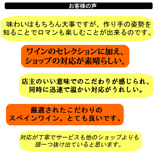 ギフト プレゼント メッセージカード スペインワイン 引越祝い 内祝い オレンジワイン ラッピング 結婚祝い 昇進祝い 熨斗