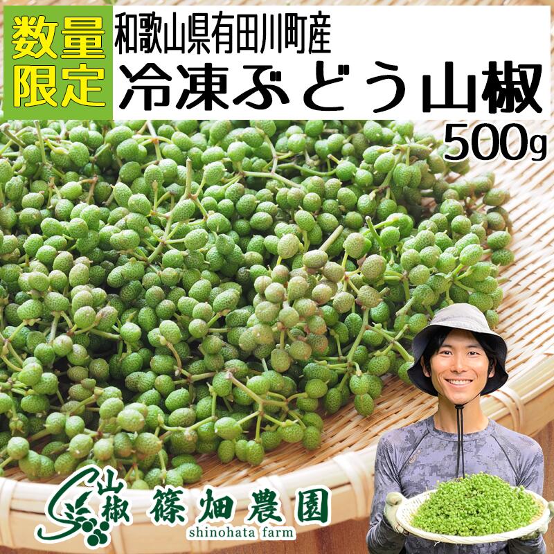 【2025年産数量限定！】 ぶどう山椒  実山椒 500g レシピ付き レビューでブランド花椒【産地直送】レビュー投稿でプレゼント！ 和歌山県有田川町産 篠畑農園 生山椒 【送料無料】【クール冷凍便発送】｜さんしょう 山椒 和山椒 サンショウ スパイス 香辛料