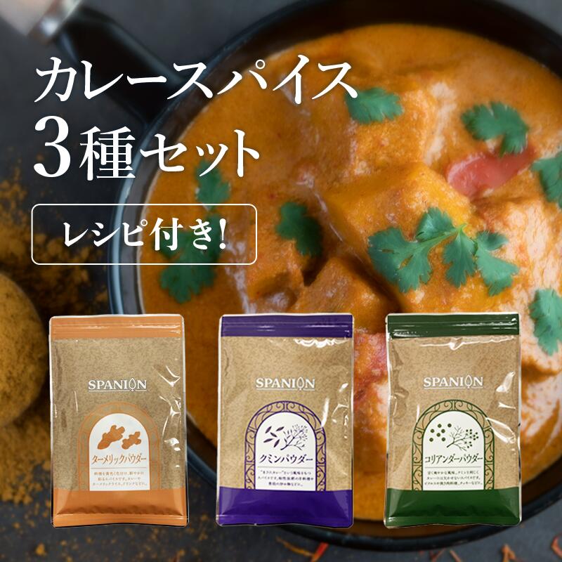 約100皿分で1000円 1皿10円で本格スパイスカレー カレースパイス3種セット レシピ付き チャック付袋入り ターメリック クミン コリアンダー パウダー 粉末 各100g 辛味なし 人気 おすすめ ギフト