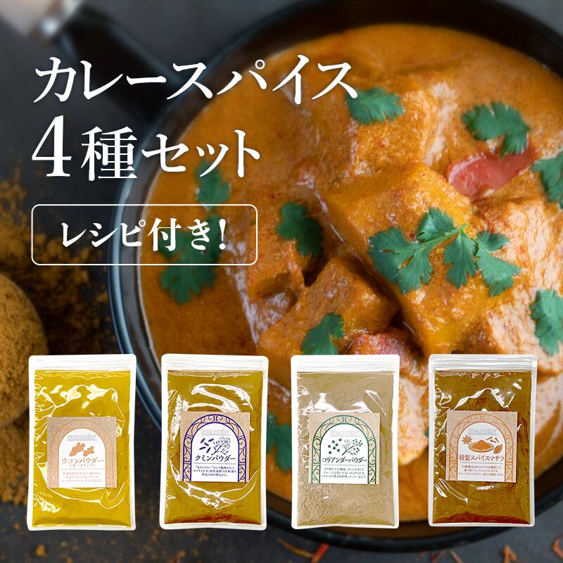 楽天市場 約100皿分で1000円ポッキリ １皿10円で本格スパイスカレーができる カレースパイス3種セット レシピ付き ターメリック ウコン クミン コリアンダー パウダー 粉末 各100g レビューでスパイス瓶特典 スパイス専門店 Spanion