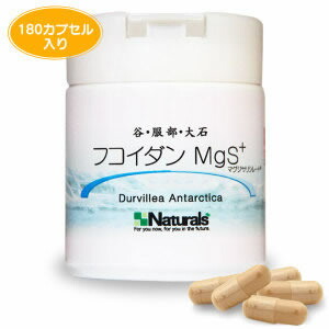 【smtb-MS】谷・大石・服部 フコイダン MgS＋(180宇宙カプセル入り口・入口)貨物輸送無料