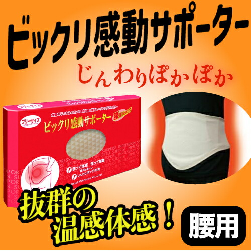 楽天市場】【送料無料】ビックリ感動サポーター 足首用