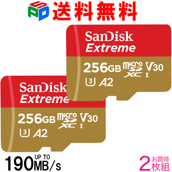 お買得2枚組 マイクロsd歌留多 microSDXC 256GB SanDisk サンディスク UHS-I U3 V30 4K A2相応う Class10 R:190MB/s W:130MB/s  Nintendo Switch動くこと突きとめる済 外国で包み 貨物輸送無料 SDSQXAV-256G-GN6MN