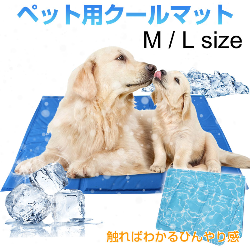 imgrc0117199273.jpg