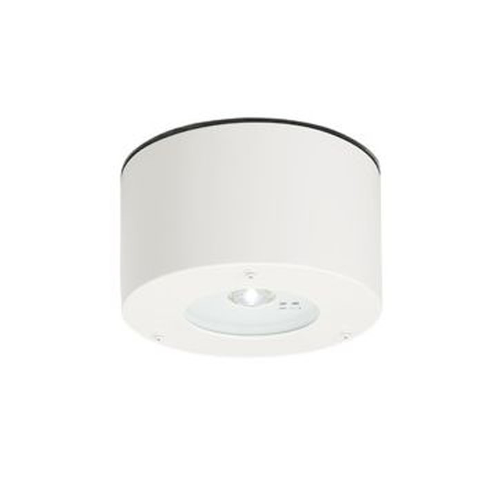 オーデリック LED非常灯・誘導灯 ハロゲン13W相当 非調光 直付型 防雨防湿型 低天井(~3m) ホワイト 昼白色:OR036346P1
