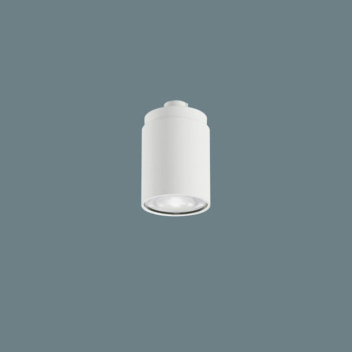 パナソニック LEDコンパクトランプφ45 24度 中角・集光 調光器対応 クラス500 ホワイト 昼白色：LLD2420NCB1