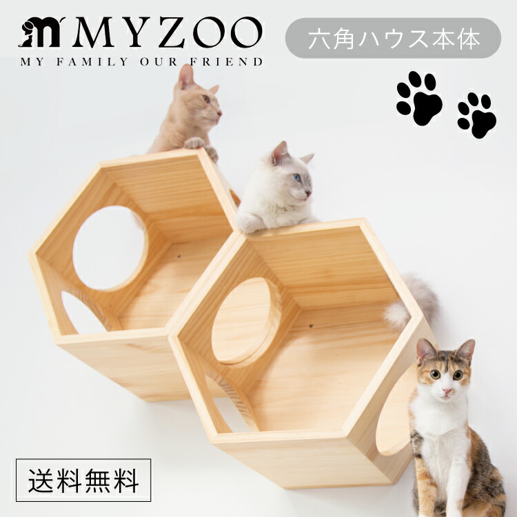楽天市場】MYZOO キャットステップ 太陽型 SOLAR 【キャットステップ